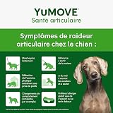 YuMOVE Joint Supplement for Dogs, Essential Dog Hip and Joint Aid, for Stiff Adult Dogs with Glucosamine, Chondroitin & Green Lipped Mussel, Aged 6 to 8 Years, 300 Tablets - 3