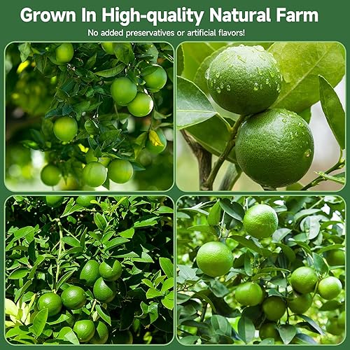 Miniatura 7 de Rodajas de lima seca, 8.82 onzas, fruta deshidratada para cócteles, 100% natural, sin aditivos, sin azúcar añadido, sabor natural y puro, adornos