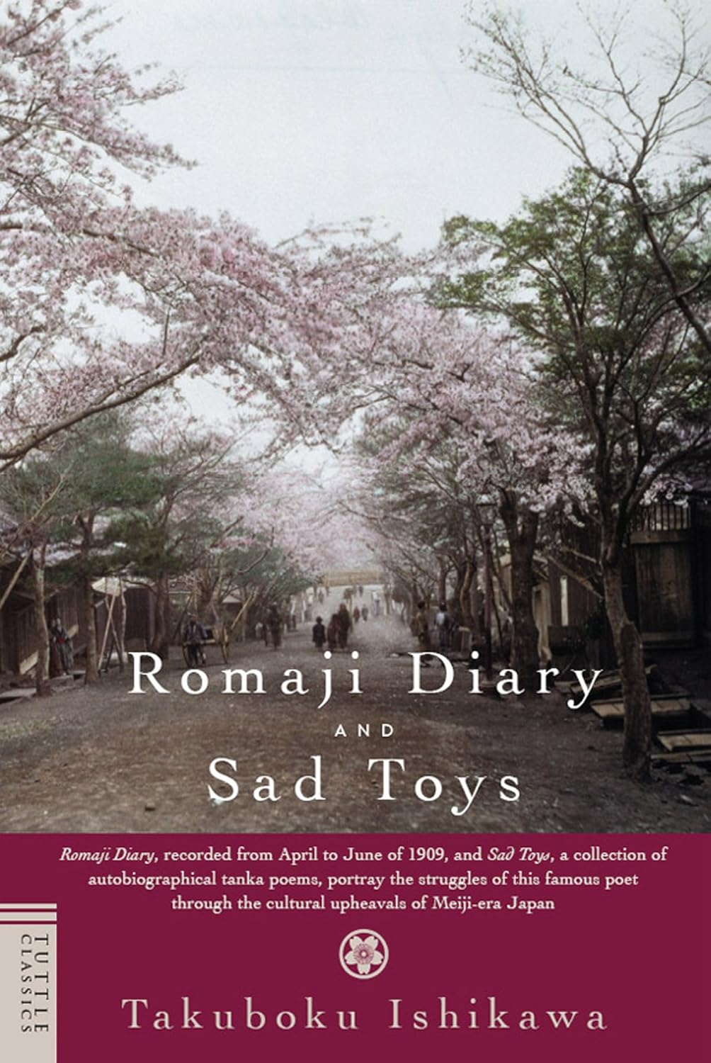 Romaji Diary and Sad Toys (Books to span the East and West)      Kindle Edition