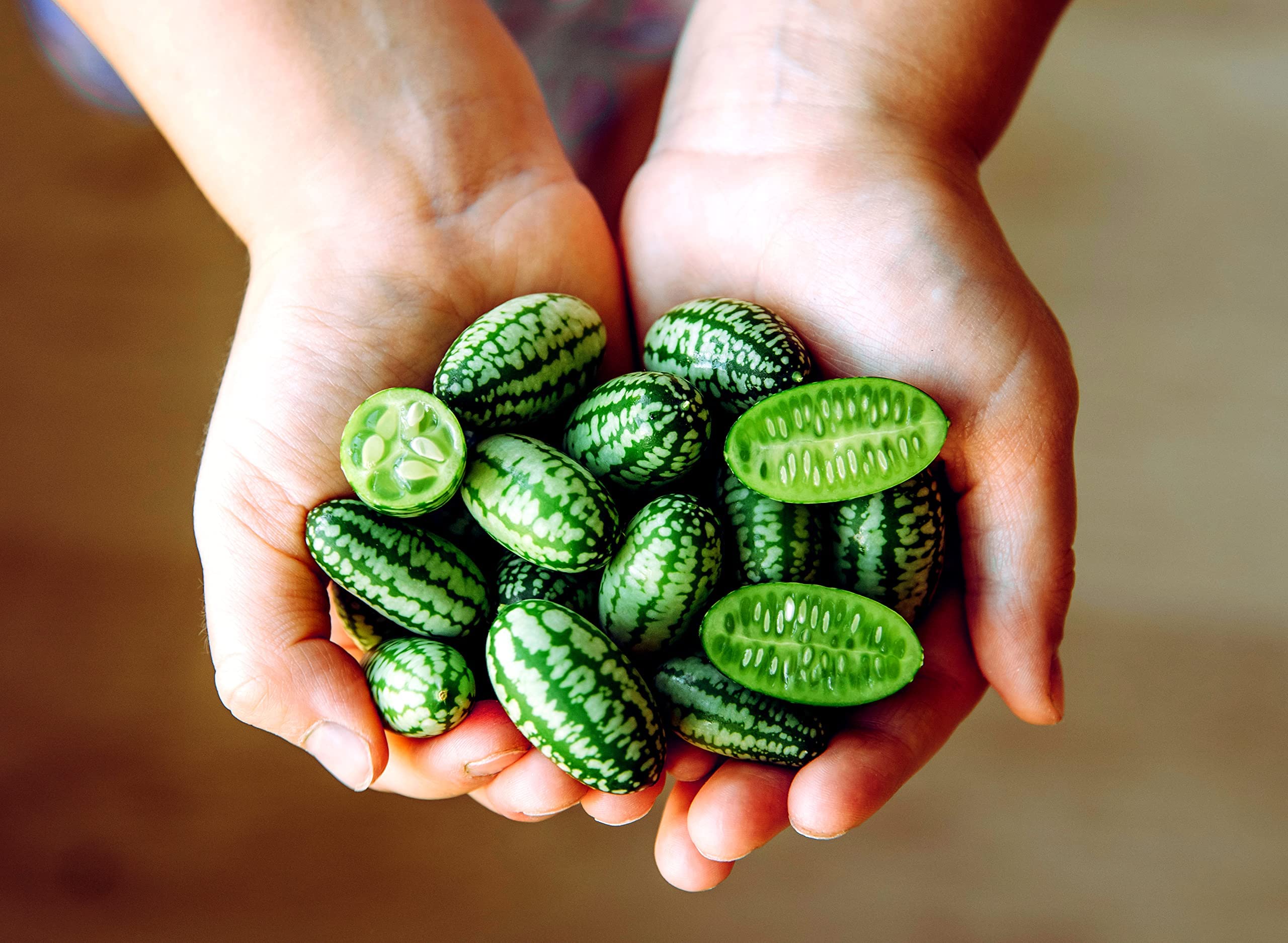 Organic Mouse Melon Seeds 20 Seeds Grow This Exotic and Rare Garden Fruit Cucamelon Seeds, Tiny Fruit to Grow (B0C62GJ84X) Amazon Price History, Amazon Price Tracker