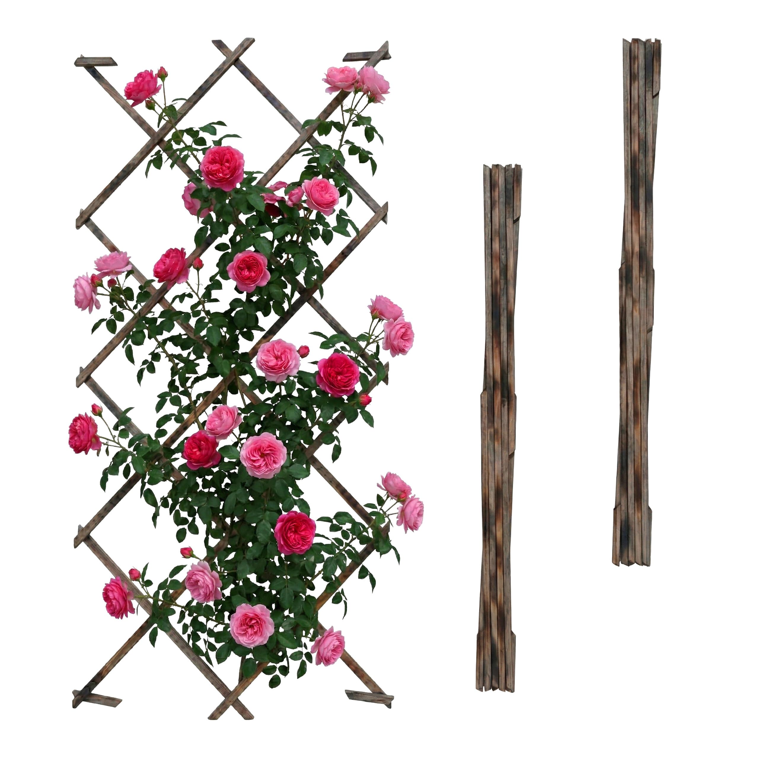 Relaxdays Treillis Extensible, Lot de 3, 180x120 cm, Sapin brûlé, Fixation Murale, pour Plantes grimpantes