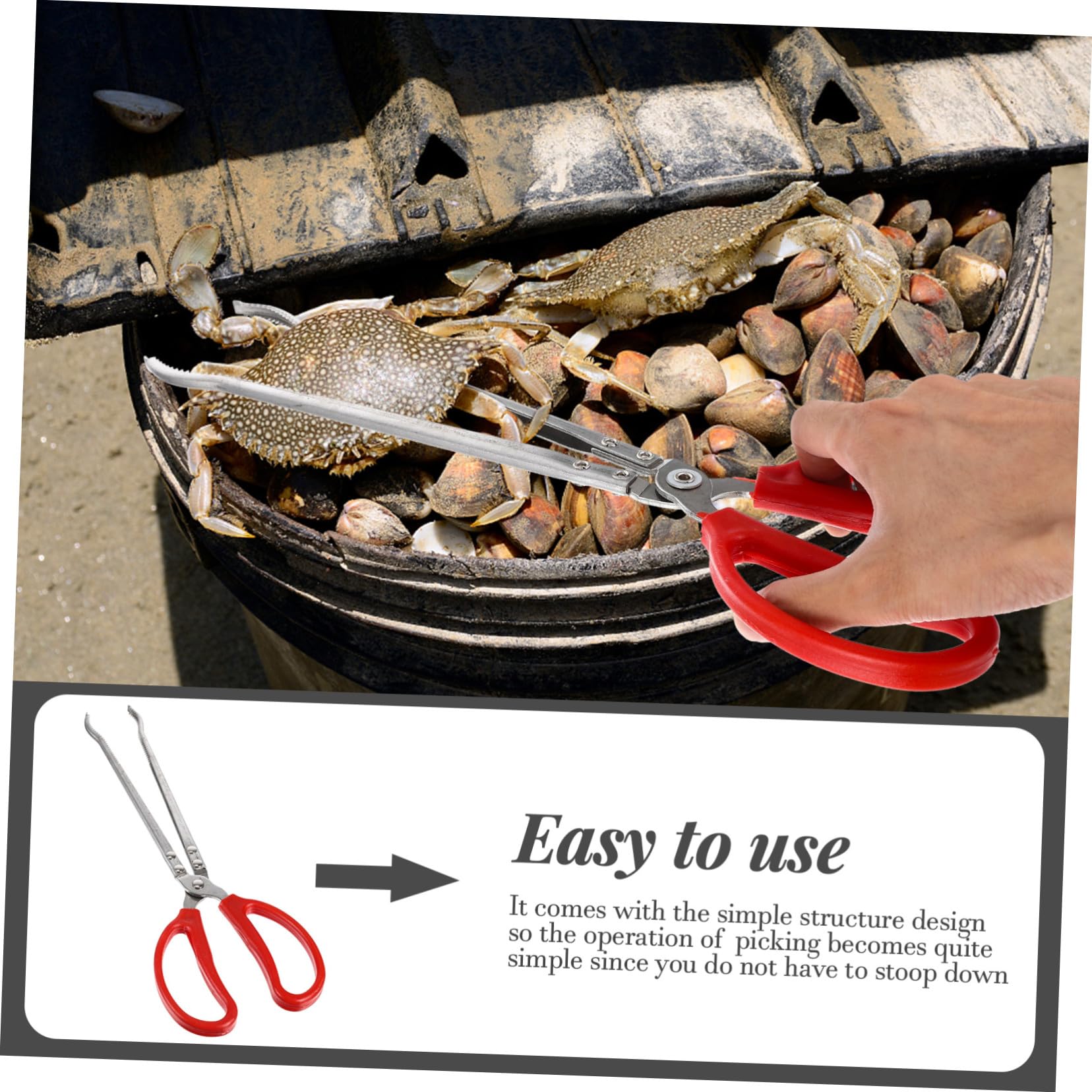 Pince à Crabes Pratique en Acier Inoxydable pour Pêche Mer