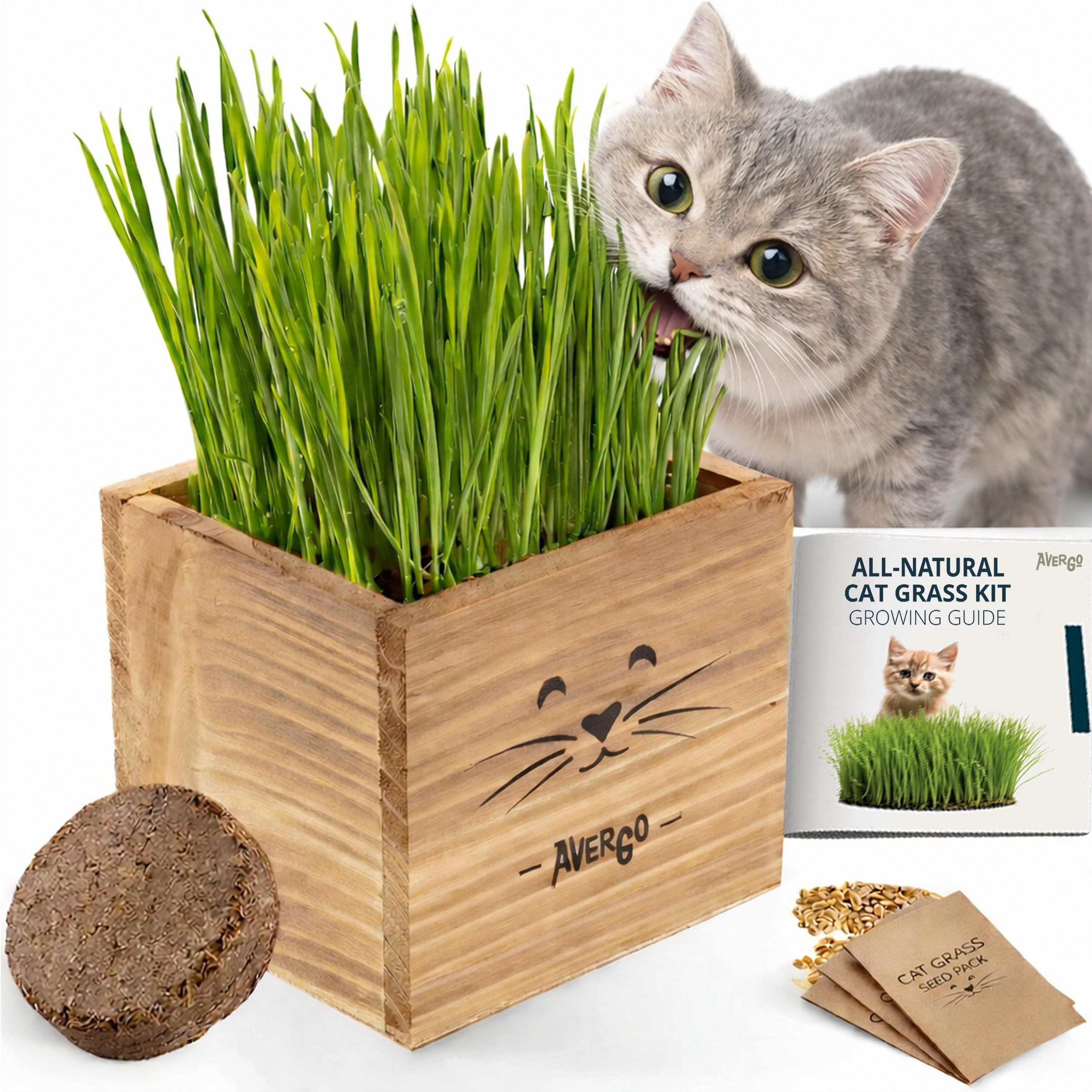 Cat Grass Kit for Indoor Cats – x2 Seed Packets | Cat Grass Seeds with Wooden Planter & Soil – Pet Wheatgrass Grass