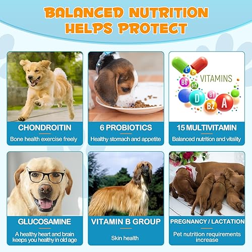 Miniatura 6 de Multivitamínico masticable 15 en 1 para perros, vitaminas y suplementos para perros, apoyo de las articulaciones de las mascotas, inmunidad,