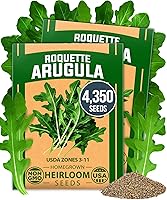 Vista 10 de HOME GROWN Semillas de eneldo sin OMG para plantar 1,014 ramos de semillas de eneldo y semillas de hierbas tradicionales para plantar al aire libre