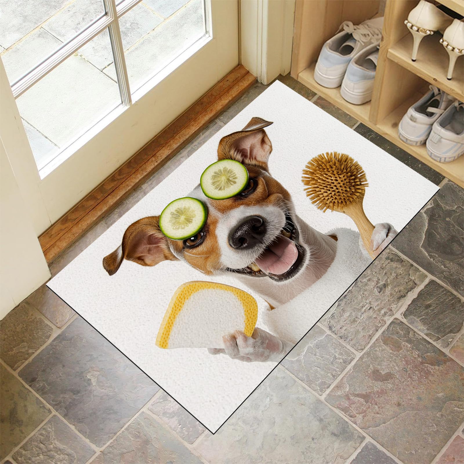 Paillasson 50x80cm robuste et antidérapant pour entrée propre