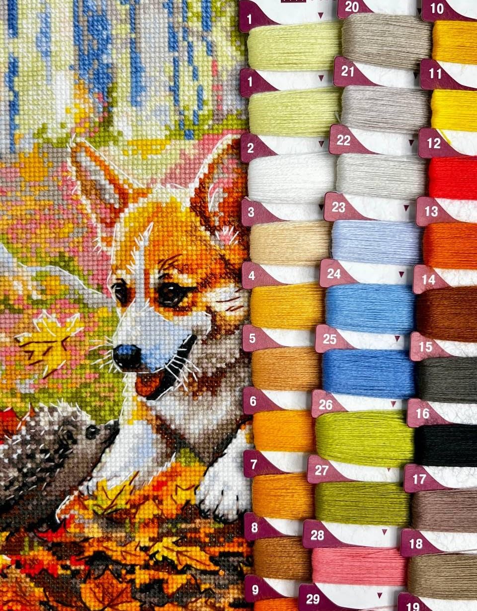 RIOLIS - Incontro nella foresta 2303, Cane Punto croce 21x30cm, Punto croce kit da ricamare, Disegni da ricamare, Embroidery kit, Animali Kit ricamo punto croce