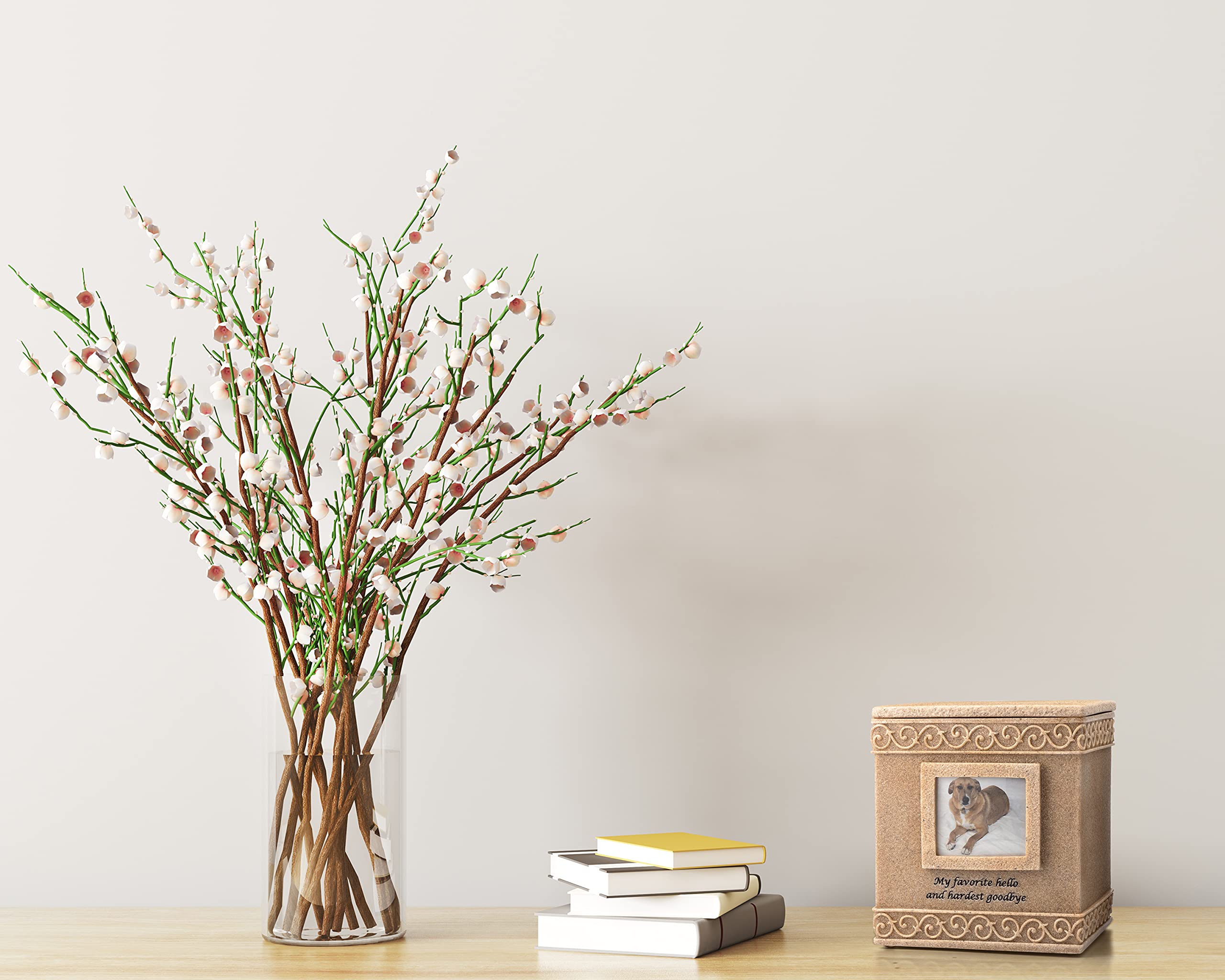 MMP Living Pet Urn Memorial Keepsake (My Favorite Hello- Top Lid)