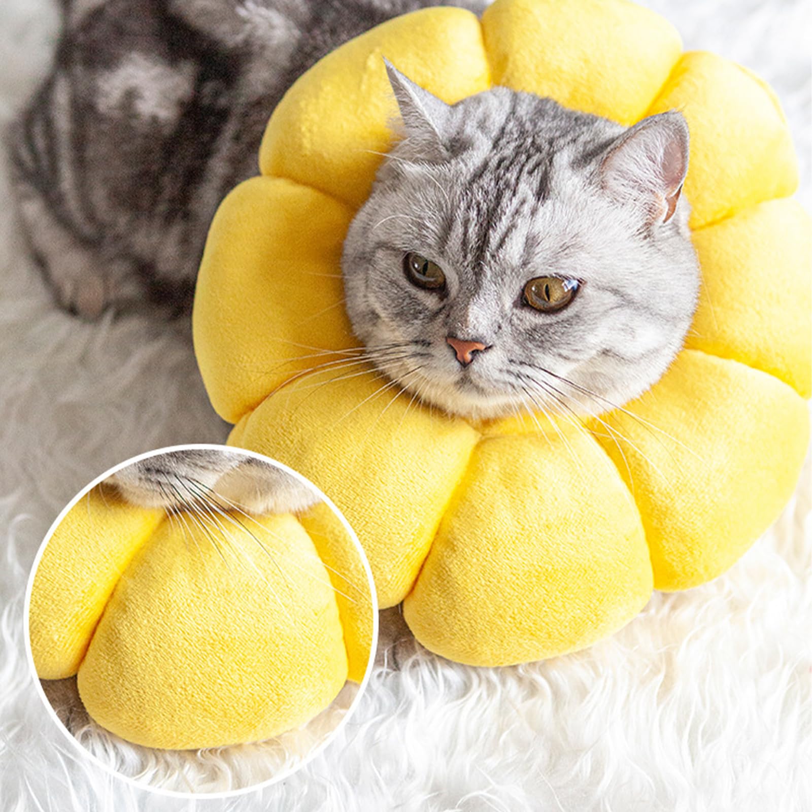 Newpop Collar Isabelino Gato, Collares Protector para Gatos, Collarin Gato de Girasol, Cono Suave del Cuello Mascotas, para Gatitos Perros Pequeños Cicatrización de Heridas Después de una Operación(M)