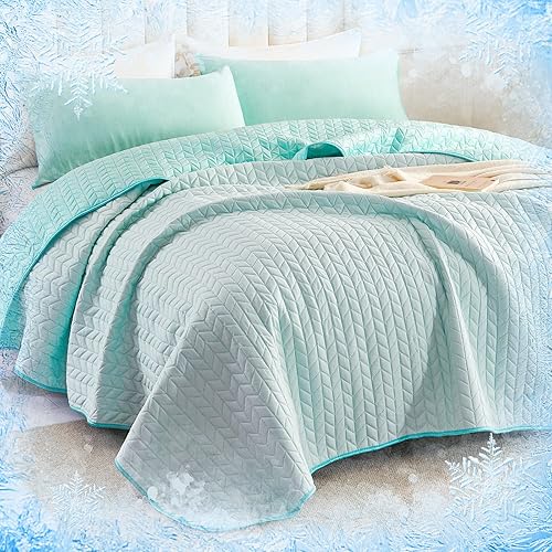 YIYEA Juego de edredĂłn Queen EdredĂłn reversible de verano Queen con 2 Arc-Chill Q-Max 0.5 fundas de almohada refrescantes para personas que YIYEA Juego de edredĂłn Queen EdredĂłn reversible de verano Queen con 2 Arc-Chill Q-Max 0.5 fundas de almohada refrescantes para personas que