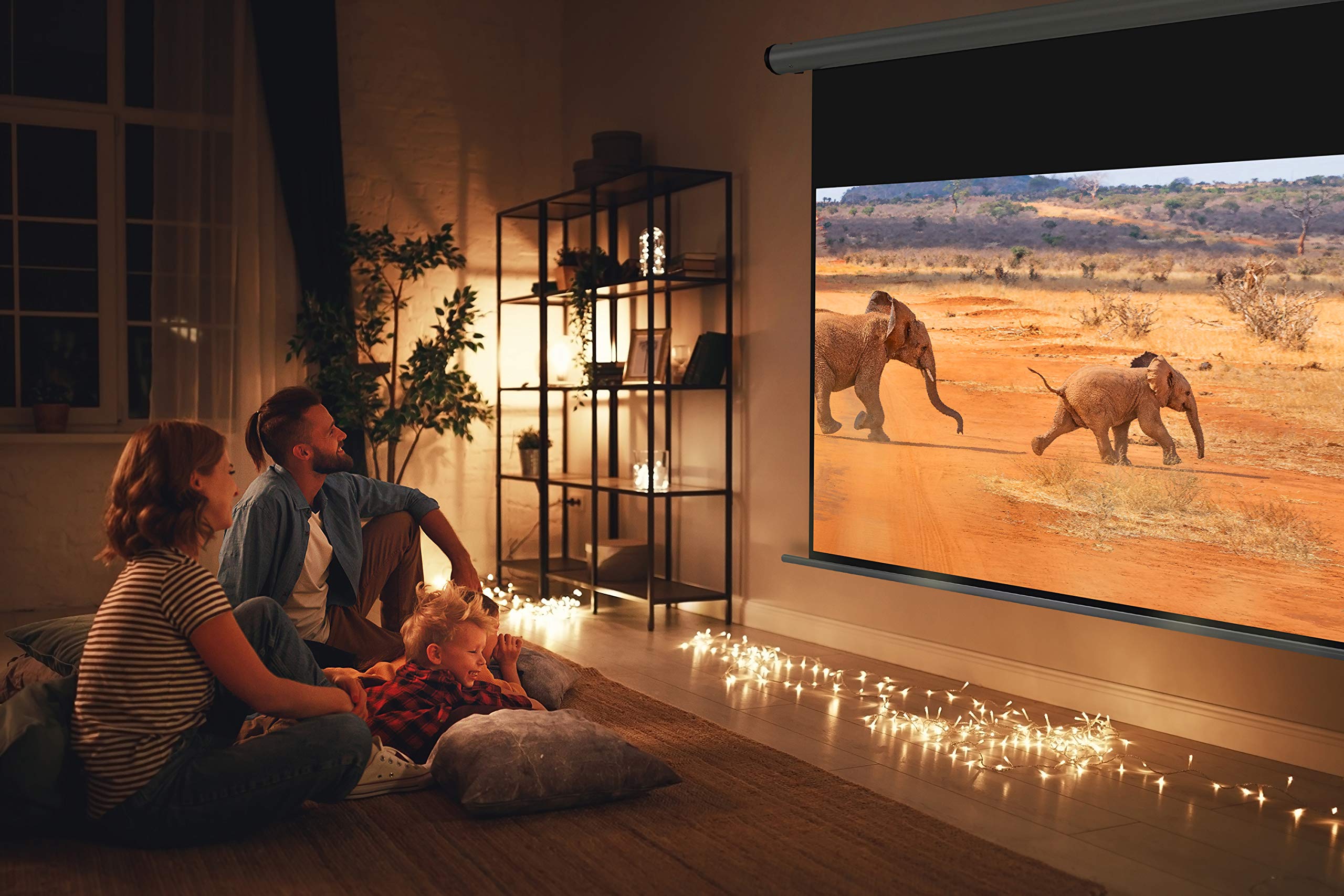 celexon HomeCinema Motor-Leinwand 100" | 220x124 cm 16:9 | elektrische 4K, Full-HD Beamerleinwand für Heimkino-Projektionen & Büro-Präsentationen | geeigent zur Decken- & Wand-Montage