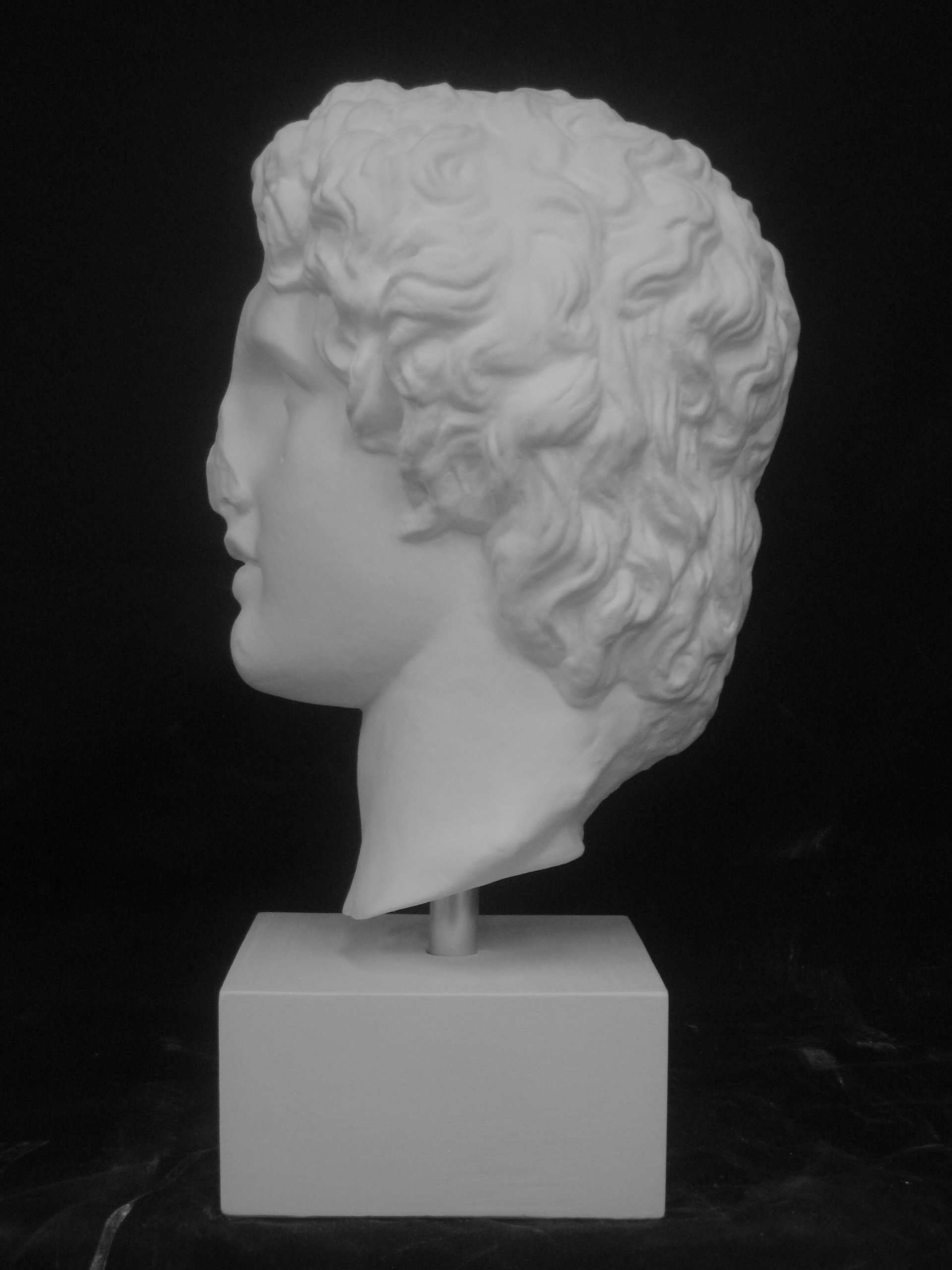 Amazon.co.jp: 石膏像 S－207 アレキサンダー大王首像 H