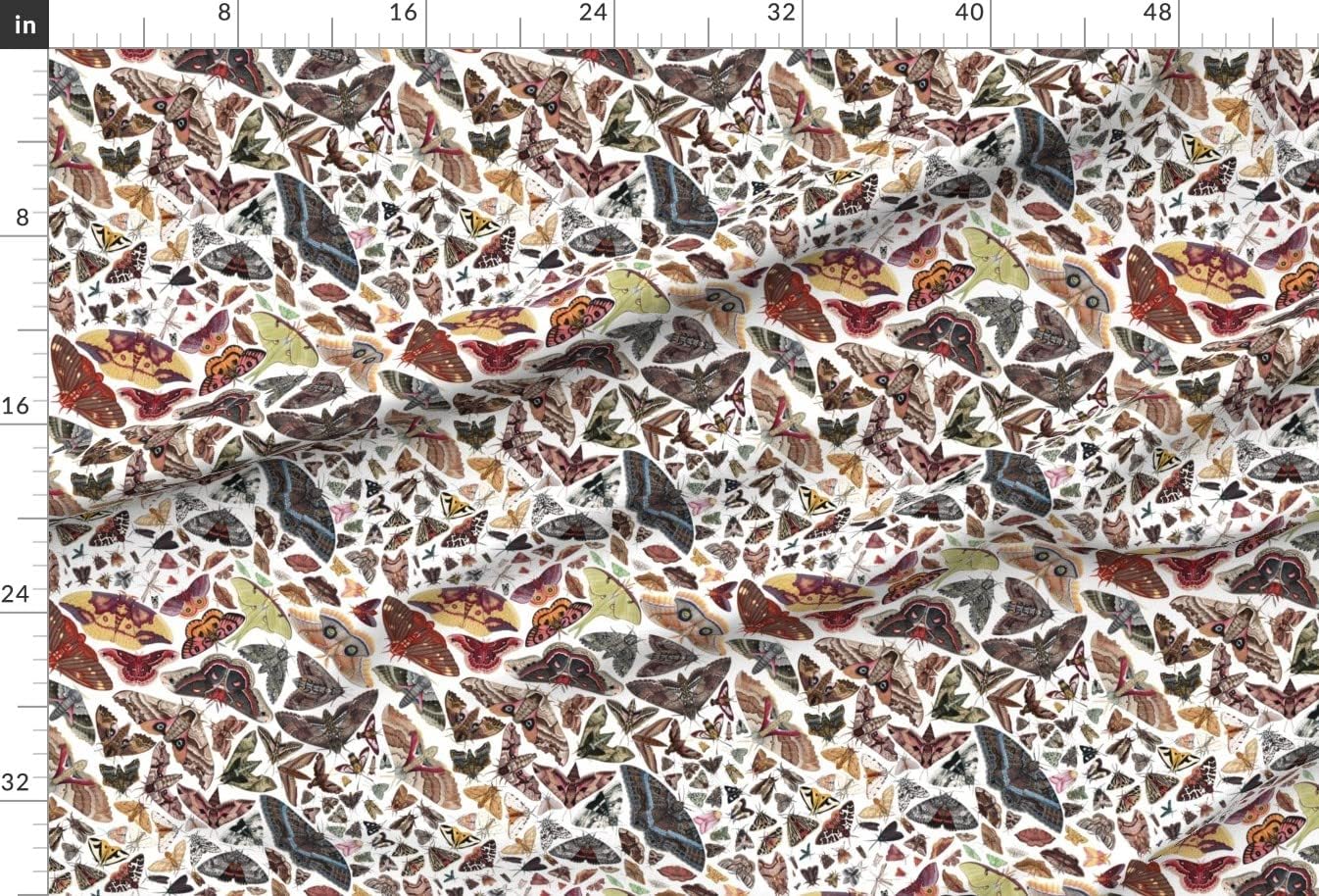 Spoonflower Fabric - Moths North America Moth Butterfly Bug Insect Science Entomology Printed on Upholstery Velvet Fabric Fat Quarter - Upholstery Home Decor Bottomweight Apparel