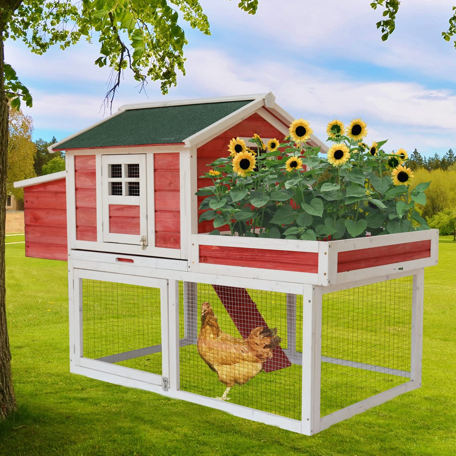 Buy Large Chicken Coop with ing Box, Outdoor Wooden Poultry Cage with