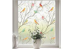 Coavas Decorative Privacy Window Film: A Symphony of Light and Privacy