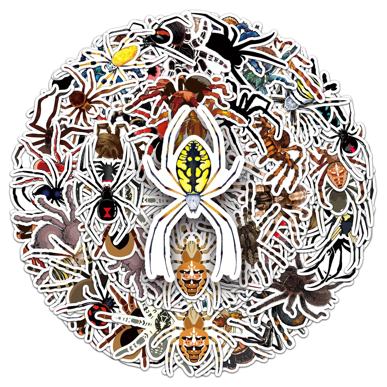 Spinnen Spider Sticker Set Aufkleber Kinder Teenager 50 Stück Tiere Wasserfeste Vinyl Decals Laptop Skateboard Koffer Helm Auto Fahrrad Handy Motorrad Fahrrad Scrapbook Mitgebsel Tagebuch Tassen