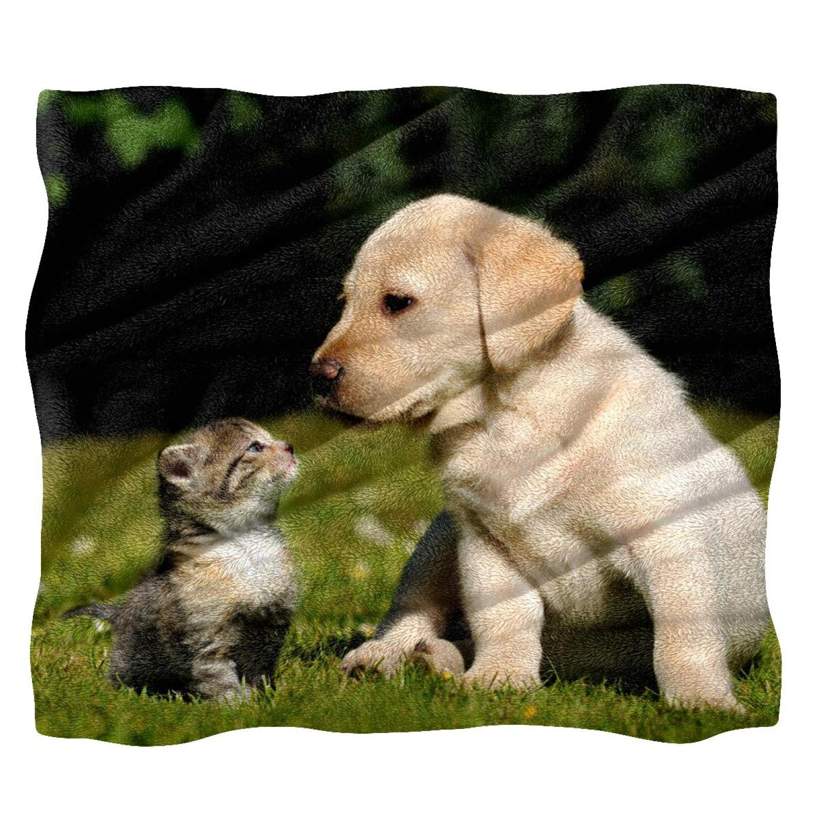 Couverture polaire de literie motif chat pour décorer le canapé