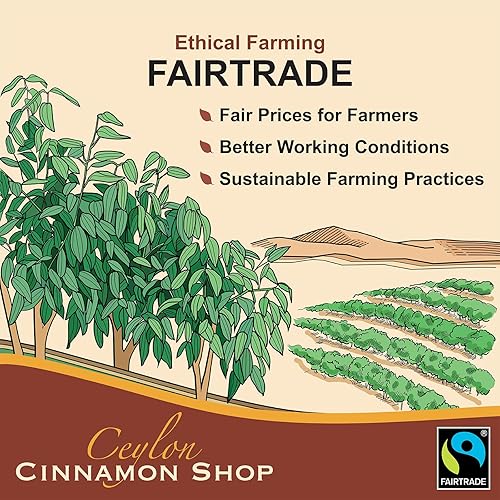 Miniatura 6 de Ceylon Cinnamon Shop Canela de Ceilán orgánica (100% certificada) en polvo, 8 onzas