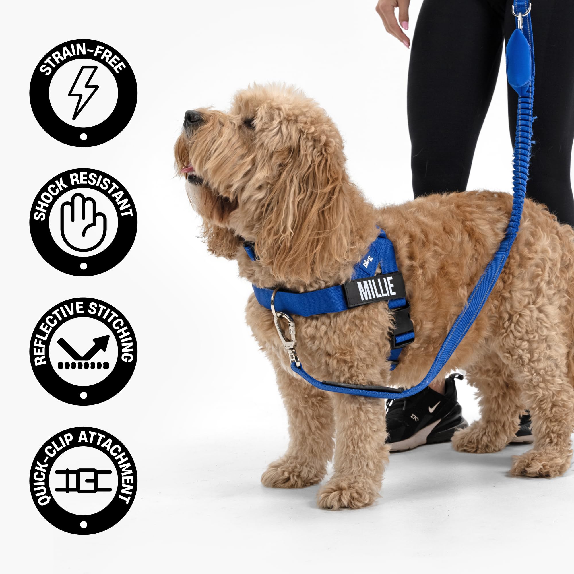 Dog Friendly Co. Correa elástica para perro, absorbe los golpes (camuflaje rosa, regular)