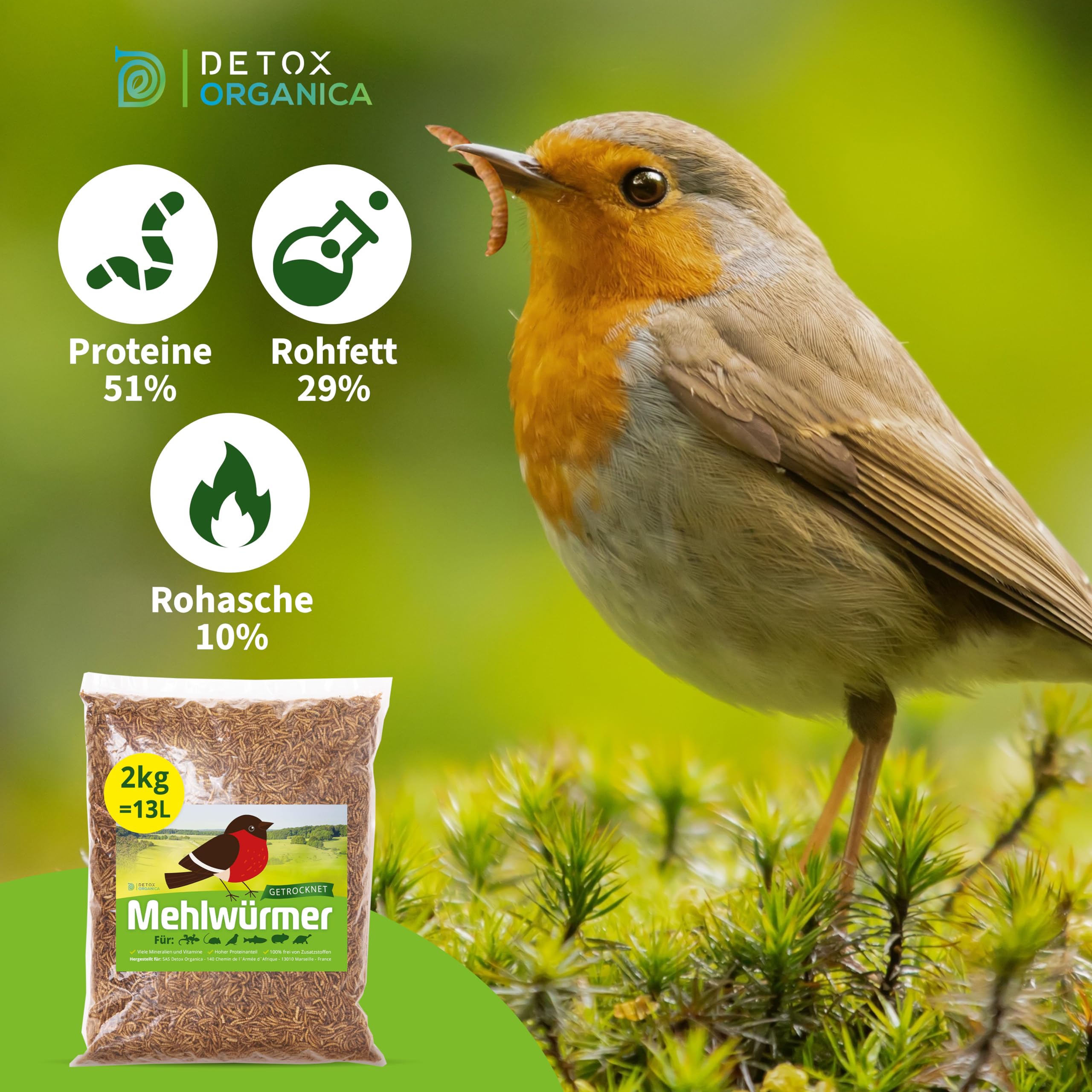 Detox Organica Mehlwürmer Getrocknet, 2Kg (13L) getrocknete Mehlwürmer mit sehr hohem Proteingehalt, Würmer für Reptilien, Vögel, Wildvögel, Igel, Fische, Schildkröten & Nager – Premium Qualität