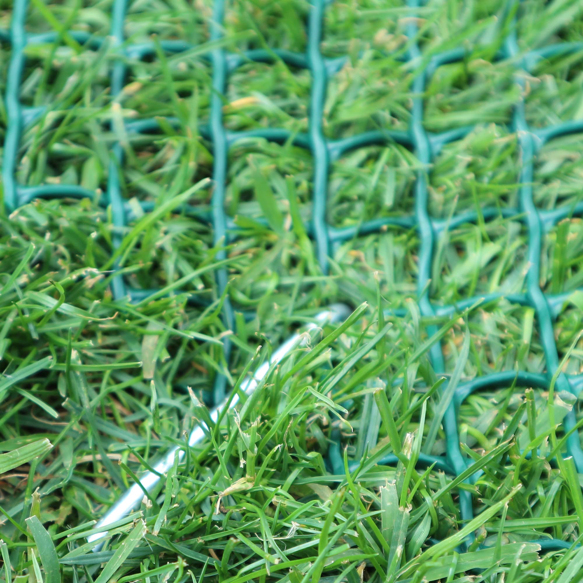 TENAX Chiodi U Special Lunghezza 22 cm, Larghezza 30 cm, 200 Pezzi, Chiodi per il Fissaggio al Terreno della Rete Salvaprato, Teli e Reti