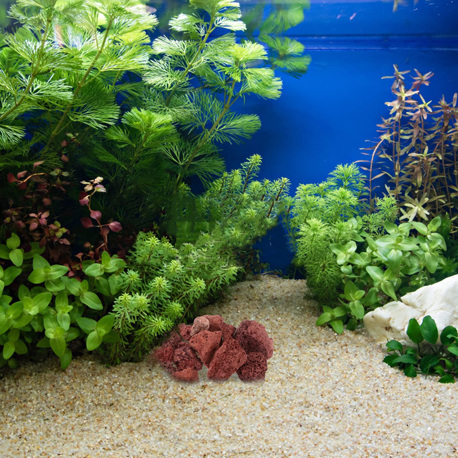 AquaOne Aquariumstenen Zwarte Lavastenen I Natuurstenen Lava Maat M 1 stuk 0 ,3-1,5kg I Aquascaping Gesteente voor Aquarium I Lavagesteente Decoratie Aquascape Deko zwart AquaOne Aquariumstenen Zwarte Lavastenen I Natuurstenen Lava Maat M 1 stuk 0 ,3-1,5kg I Aquascaping Gesteente voor Aquarium I Lavagesteente Decoratie Aquascape Deko zwart