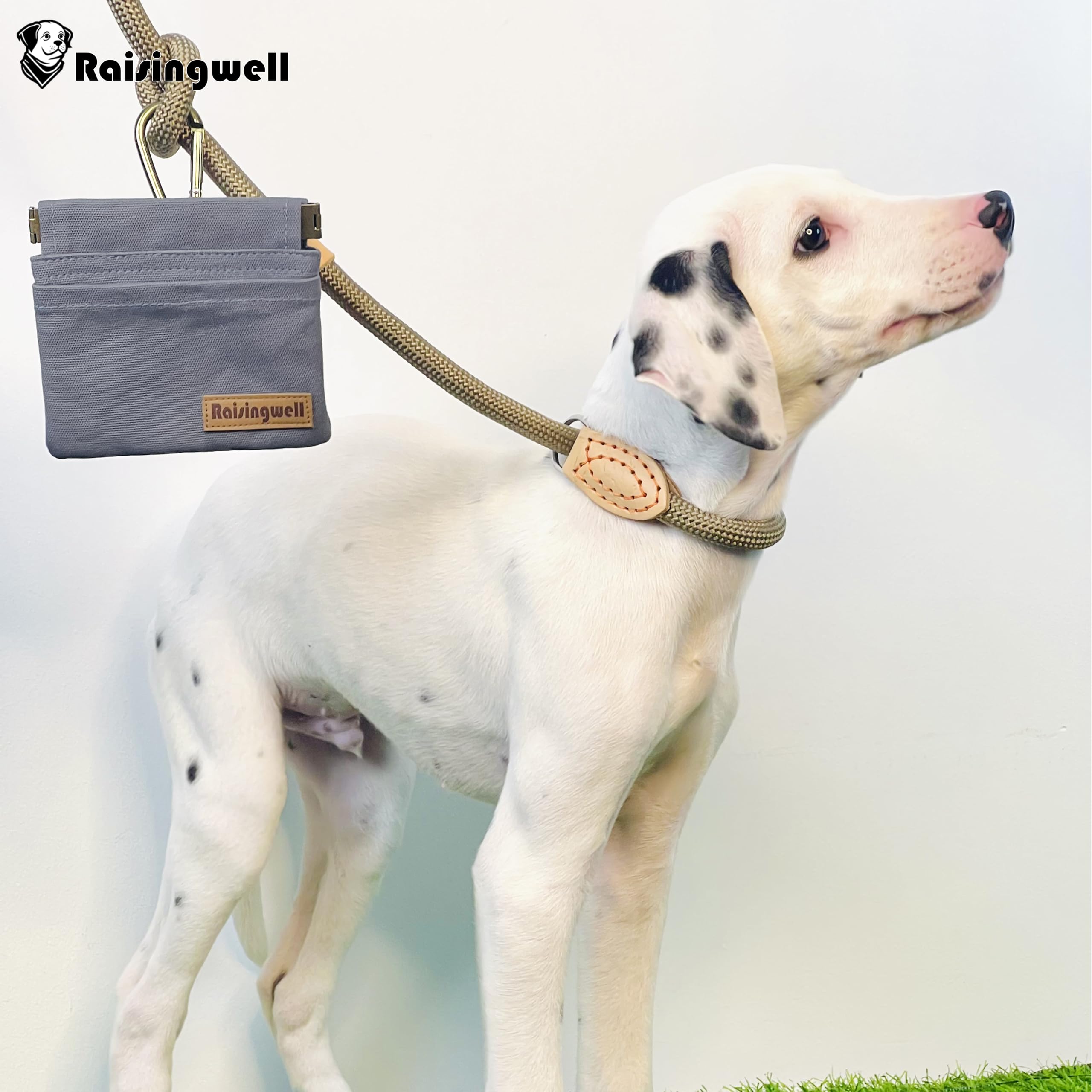 Raisingwell Pochette à friandises pour chien, petit support de dressage en coton, sac banane mains libres avec mousqueton, récompense de collation pour animal de compagnie, aide au comportement pour