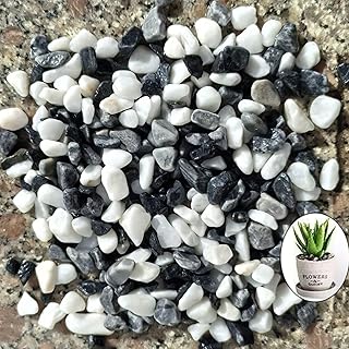 حصى طبيعية صغيرة مصقولة للديكور بألوان مختلطة لنباتات الصبار والعصارية، صخور نهرية للنباتات المزروعة بوعاء والفازات وأحواض السمك والأحواض المائية والبستنة الخارجية، 907 جرام