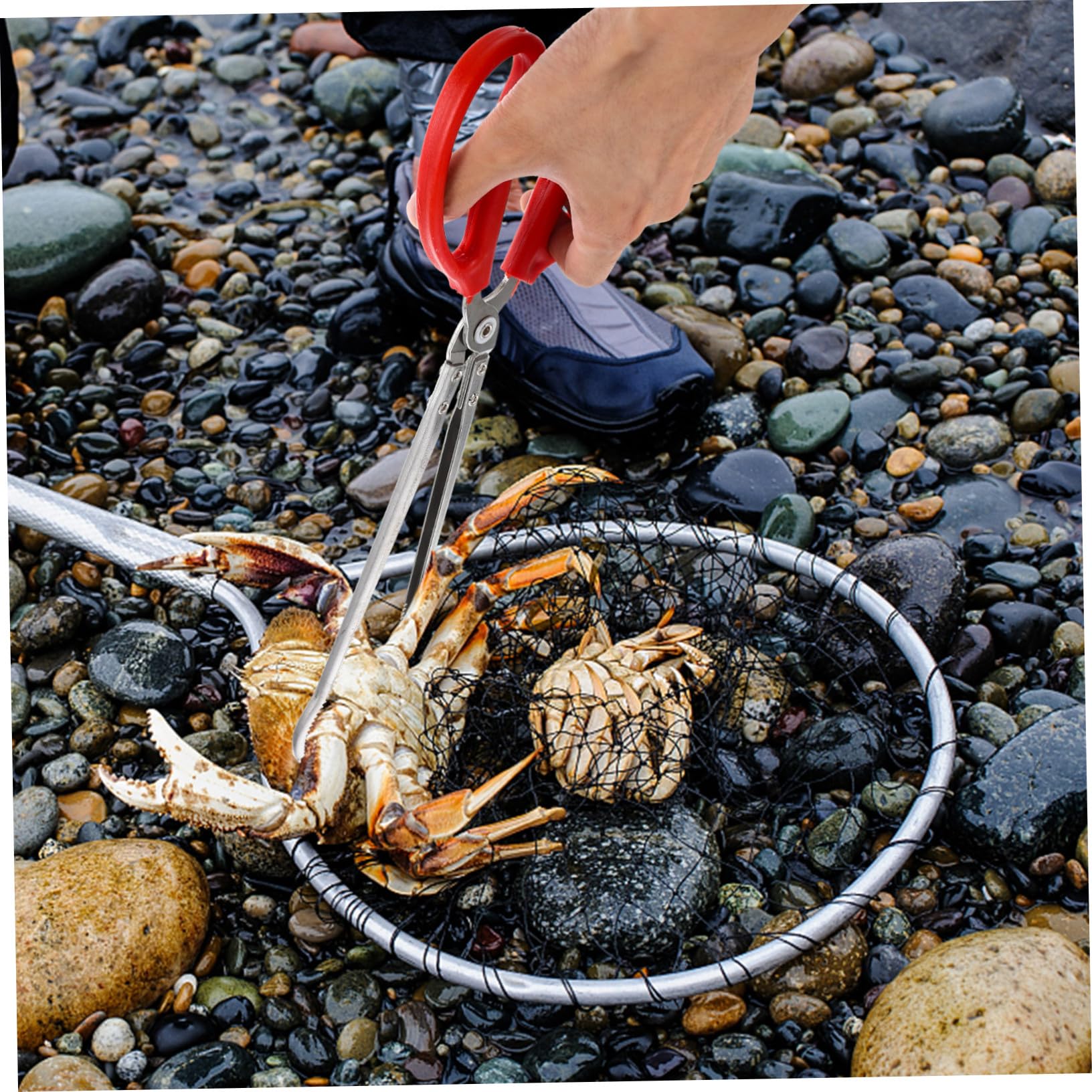 Acier Inoxydable Pince à Crabe Abs Multifonction Portable