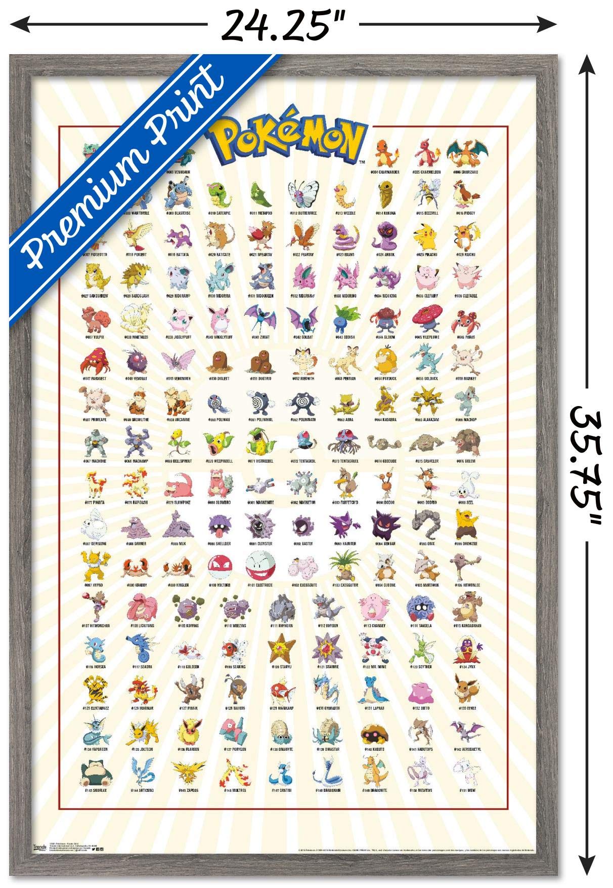 Trends International Pokémon-Kanto Grid Wall Poster, 22.375" x 34", Barnwood Framed Version