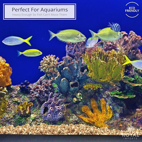 Miniatura 2 de Royal Imports Piedras ornamentales decorativas de 5 libras, piedras de paisajismo de jardín, relleno de grava para plantas, jarrones, suculentas,