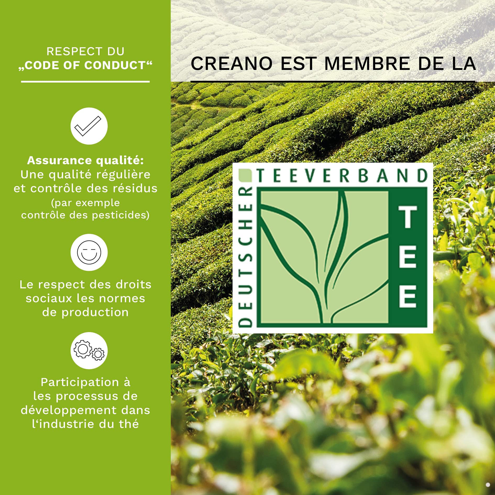 Creano „Fleurs de Thé“ Verts 12 pcs – Coffret en Bois Premium – 6 variétés de thé vert fruité aromatisé – Idée cadeau élégante
