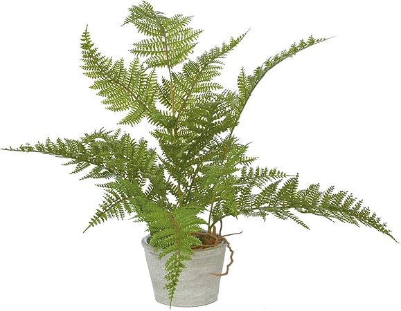 Amazon Co Jp 観葉植物 フェイクグリーン 人工観葉植物 シダー 造花 おしゃれ ツリー 店舗装飾 フェイク グリーン ポット 鉢付 インテリア 40cm ホーム キッチン