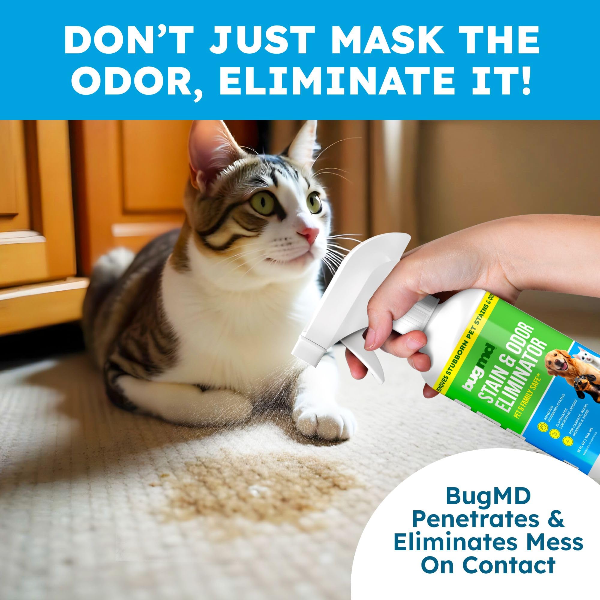 BugMD Removedor de manchas y eliminador de olores para mascotas para olores fuertes (32 onzas) en aerosol, limpiador enzimático para orina de perro, desodorante de arena de gatos, alfombras, muebles,