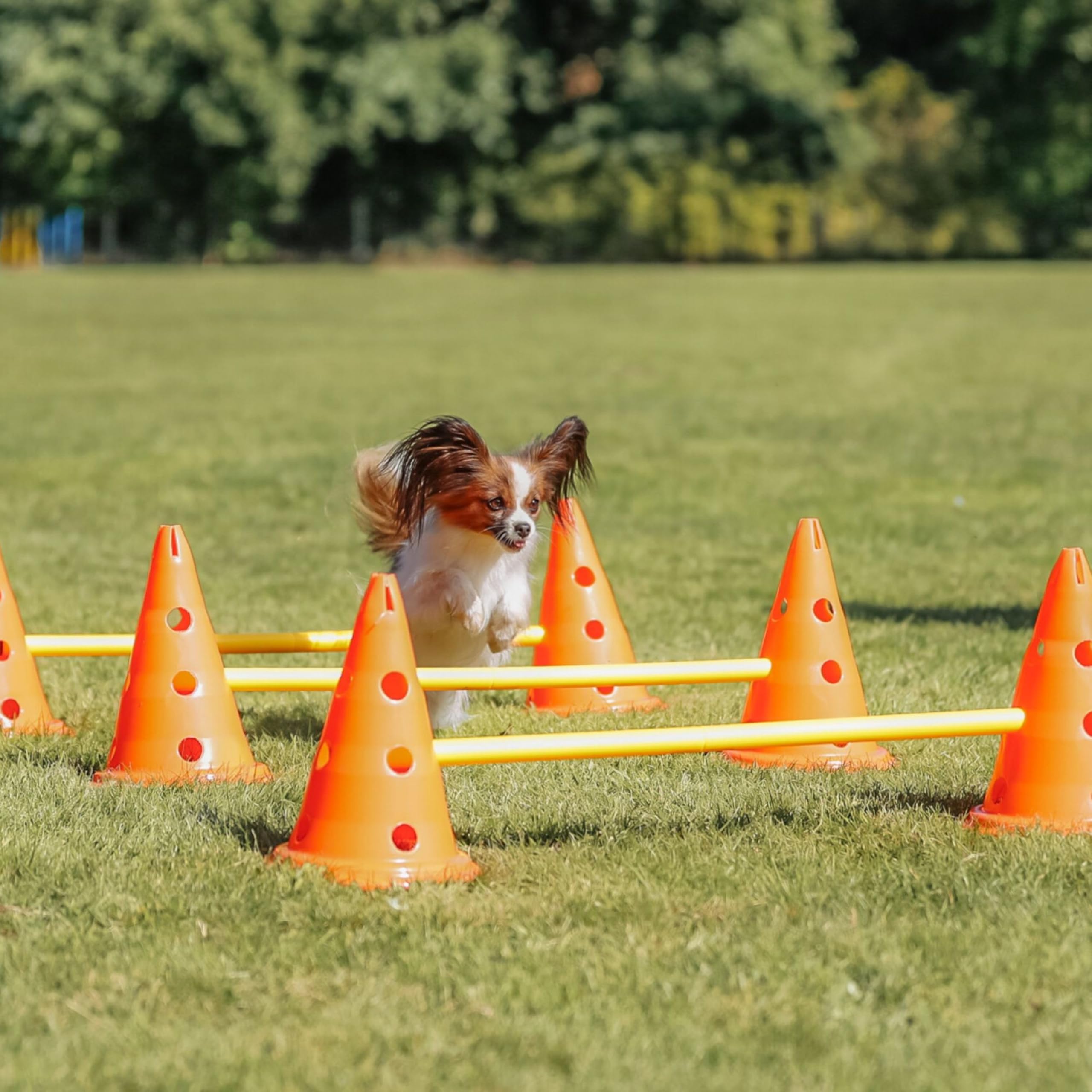Trixie Set d’Obstacles à cônes - Accessoire d’entraînement résistant pour Agility Canine - ø 23 × 30 cm/78 cm Orange/Jaune, équipement de Sport canin pour la Maison