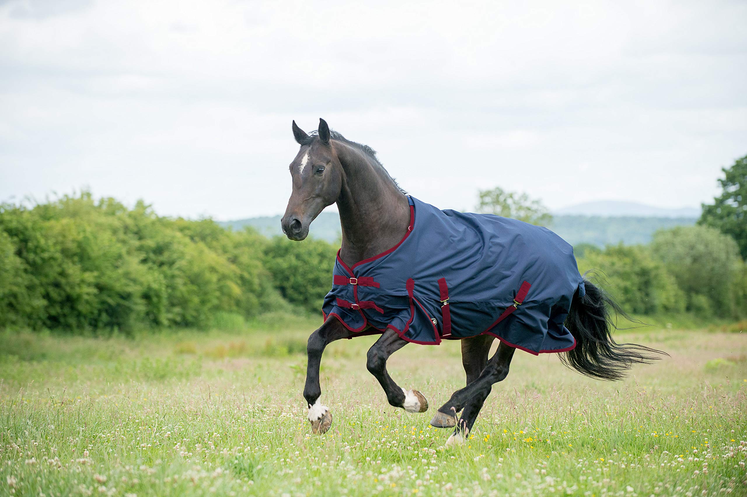 Gallop Trojan 600d Standard Neck 50g Turnout Rug (7'0" (EU 160cm)) โ image 1