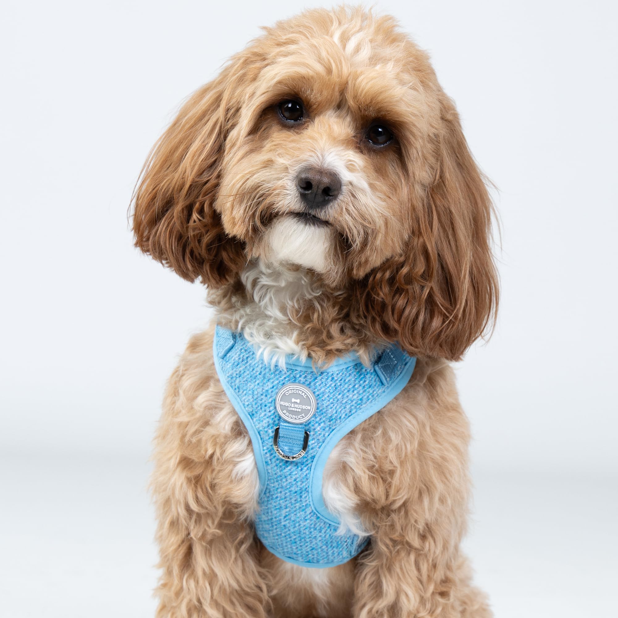 HUGO & HUDSON Tweed Dog Harness Adjustable Soft Padded No Pull Pet Vest with 2 Leads Clips, Blue, XS - Image 2