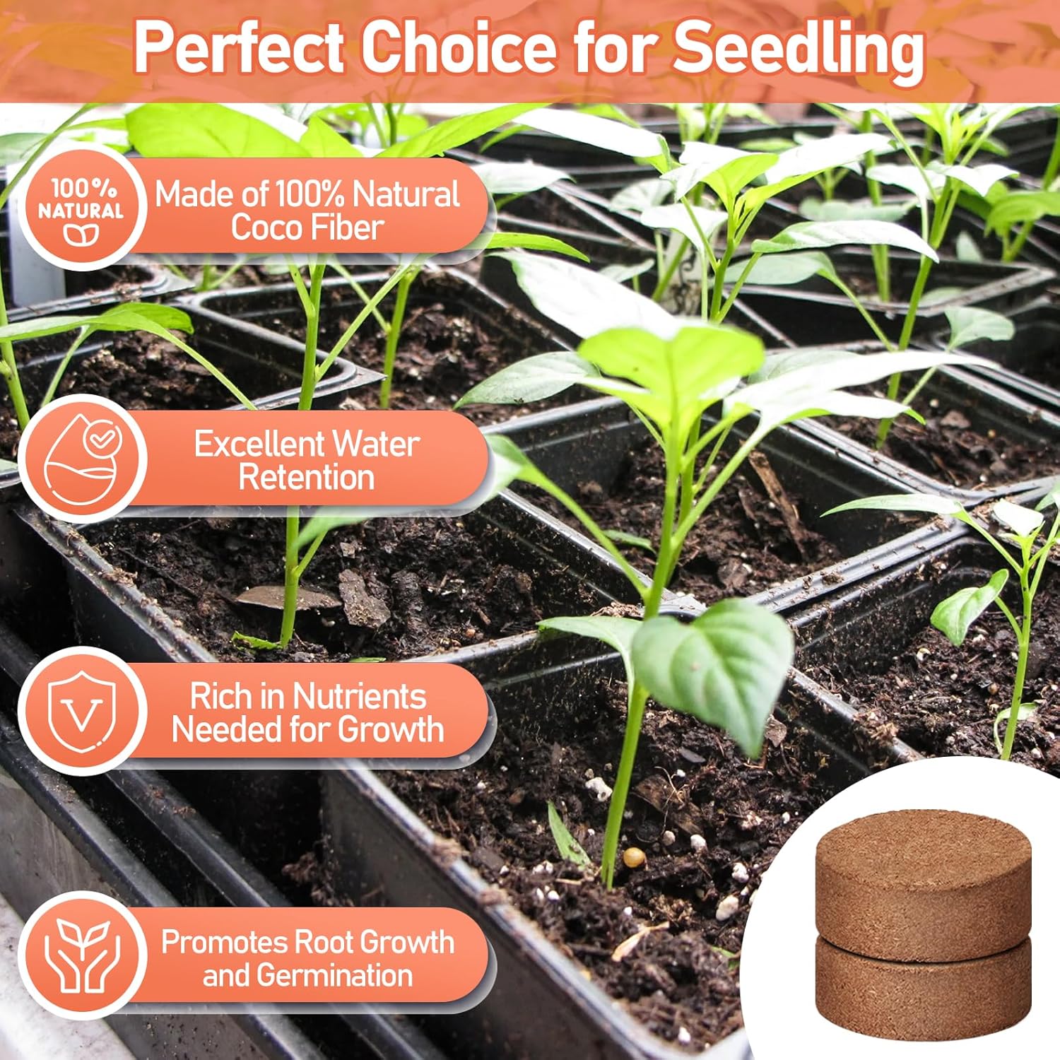 Legigo 100 Pcs 40mm Coco Coir Pellets Seed Starter Soil Mix- Organic Coconut Coir Potting Soil Pods for Seedling, Coco Peat Soil Discs for Indoor & Outdoor Plants Bonsai Herbs Vegetables and Flowers