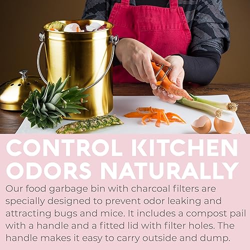 Miniatura 49 de Calificación superior del cesto de basura de acero inoxidable Epica, cubeta para abono de 1.3 galón, incluye filtro de carbón. Plateado