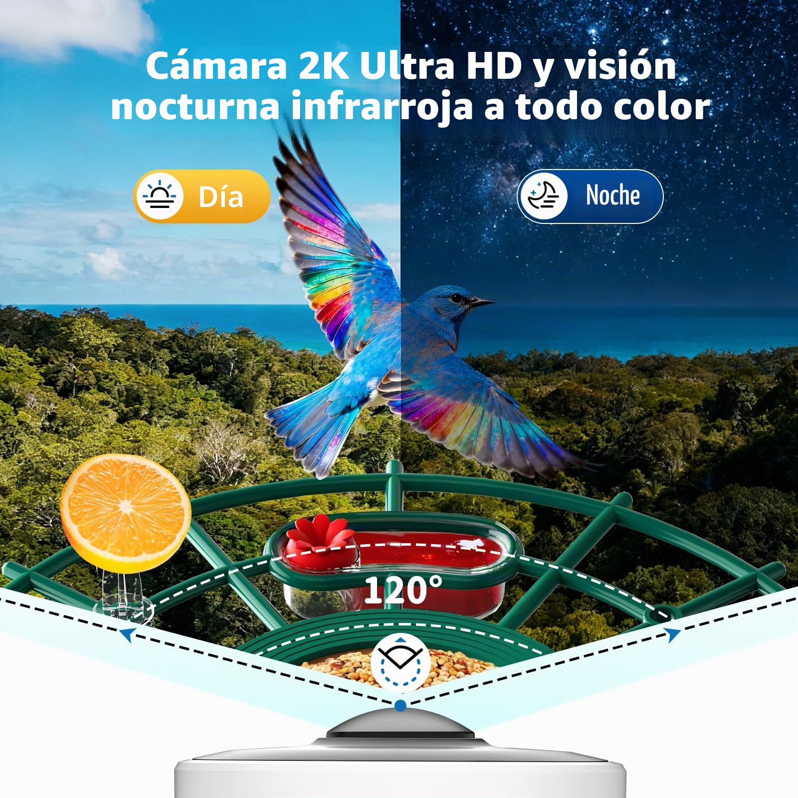 NIORSUN Comedero para pájaros con cámara 2K HD, funciona con energía solar, detección de aves AI, visión nocturna a todo color, notificación instantánea y grabación automática de vídeos de pájaros