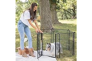 Carlson Adjustable Exterior Dog Fence