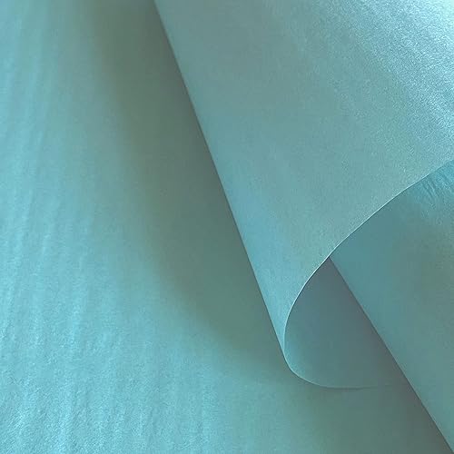 Rainbow Store - Papel tisú para envolver regalos con los colores del arcoiris, 96 hojas, 15 pulgadas x 20 pulgadas