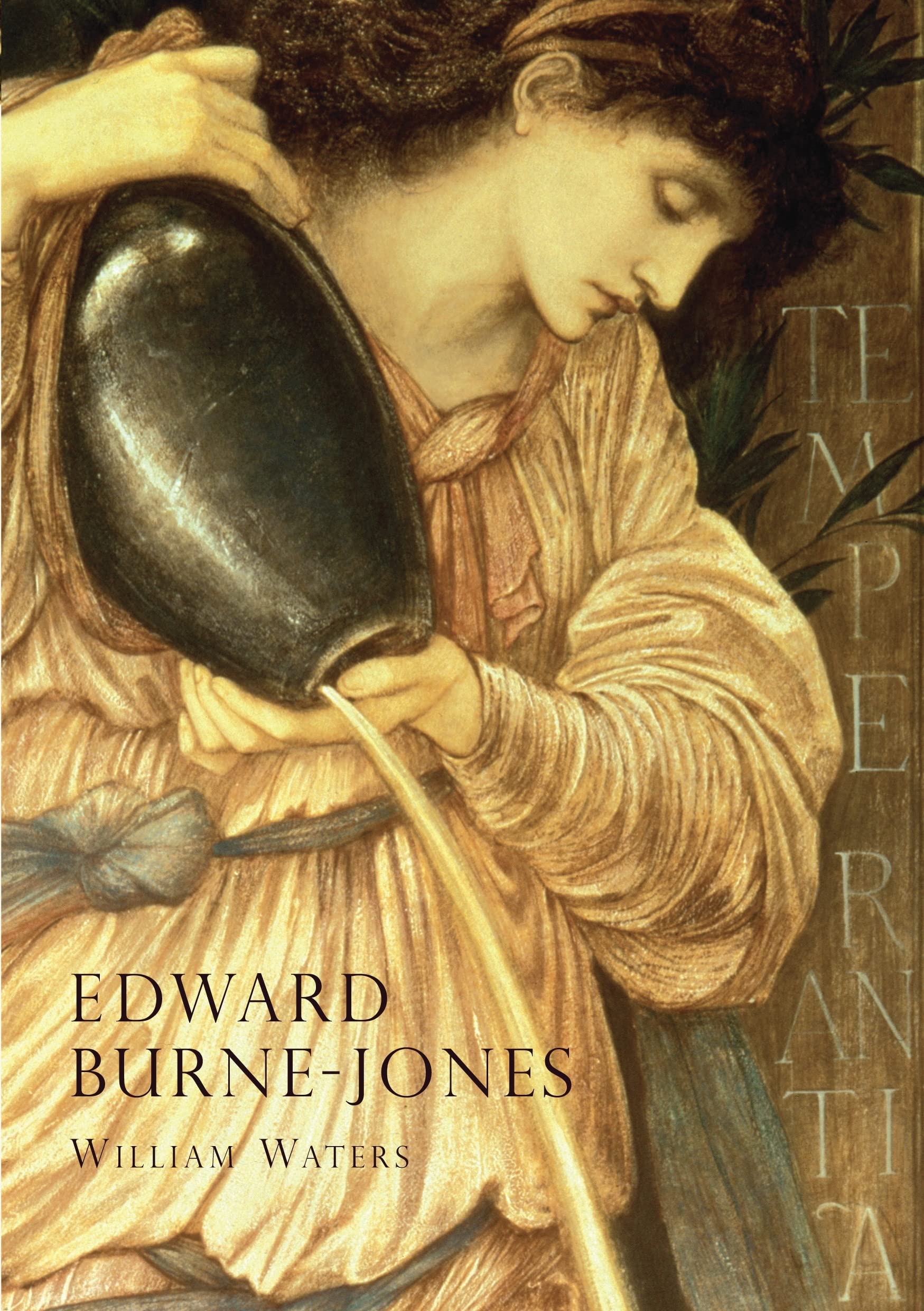 Burne-Jones: An Illustrated Life of Sir Edward Burne-Jones 1833-1898 (Lifelines)