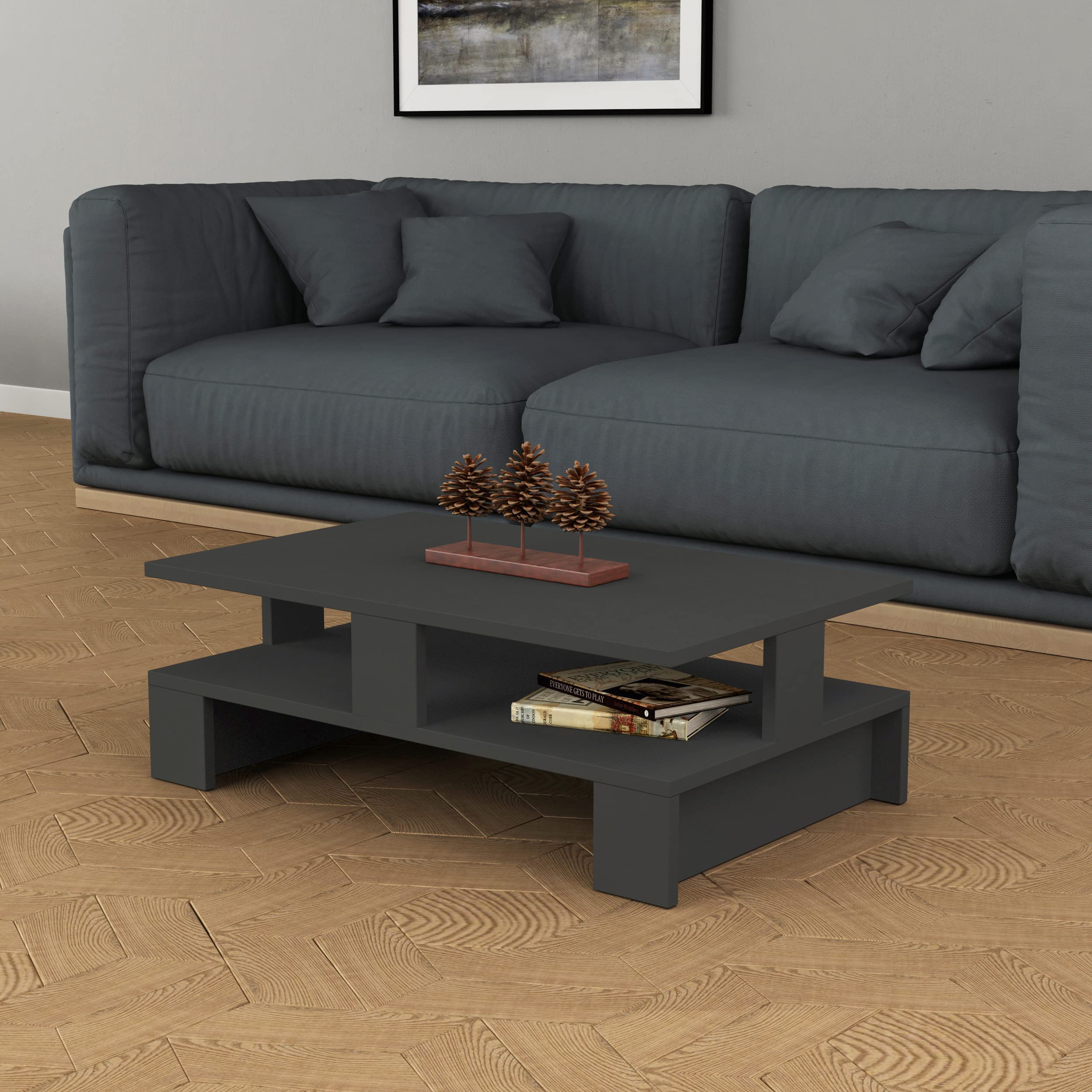 Decortie Mansu Coffee Table, Engineered Wood, Ideal For Living Room, Office and Other Spaces, D 50 x W 80 x H 27.5 cm (Anthracite)