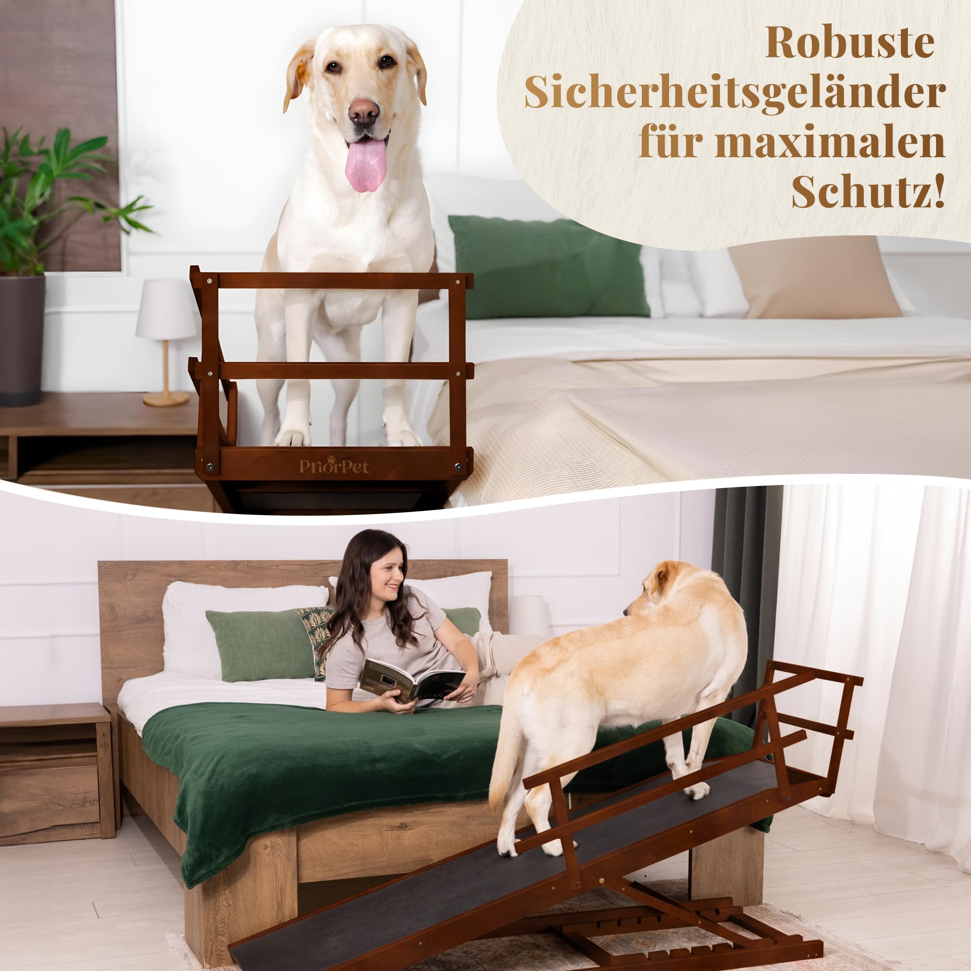 Hunderampe Bett mit Sicherheitsgeländer - Für Große Hunde bis zu 90 kg - Höhenverstellbare hundetreppe für Betten bis zu 94.5cm - Breite 49,5 cm - Klappbar - Anti-Rutsch-Griff - Birkenholz - Walnuß