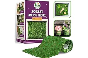 DUSPRO 51"x5.5" Moss Roll: Elevate Your Ambiance with Captivating Moss Wall Panels