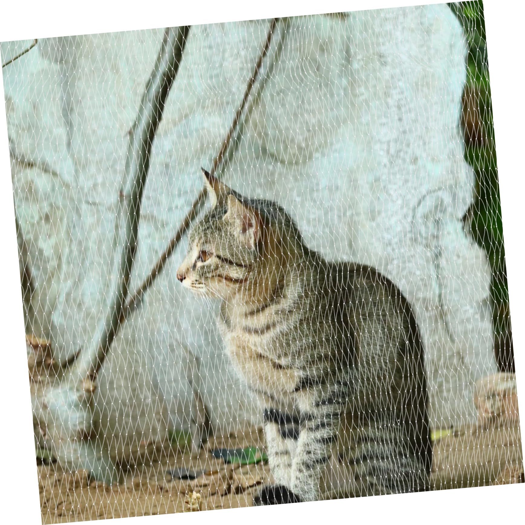 Katzennetz für Balkon und Fenster Drahtverstärkt Transparent Nylon Weiß Absturzsicherung für Hunde und Katzen Engmaschig