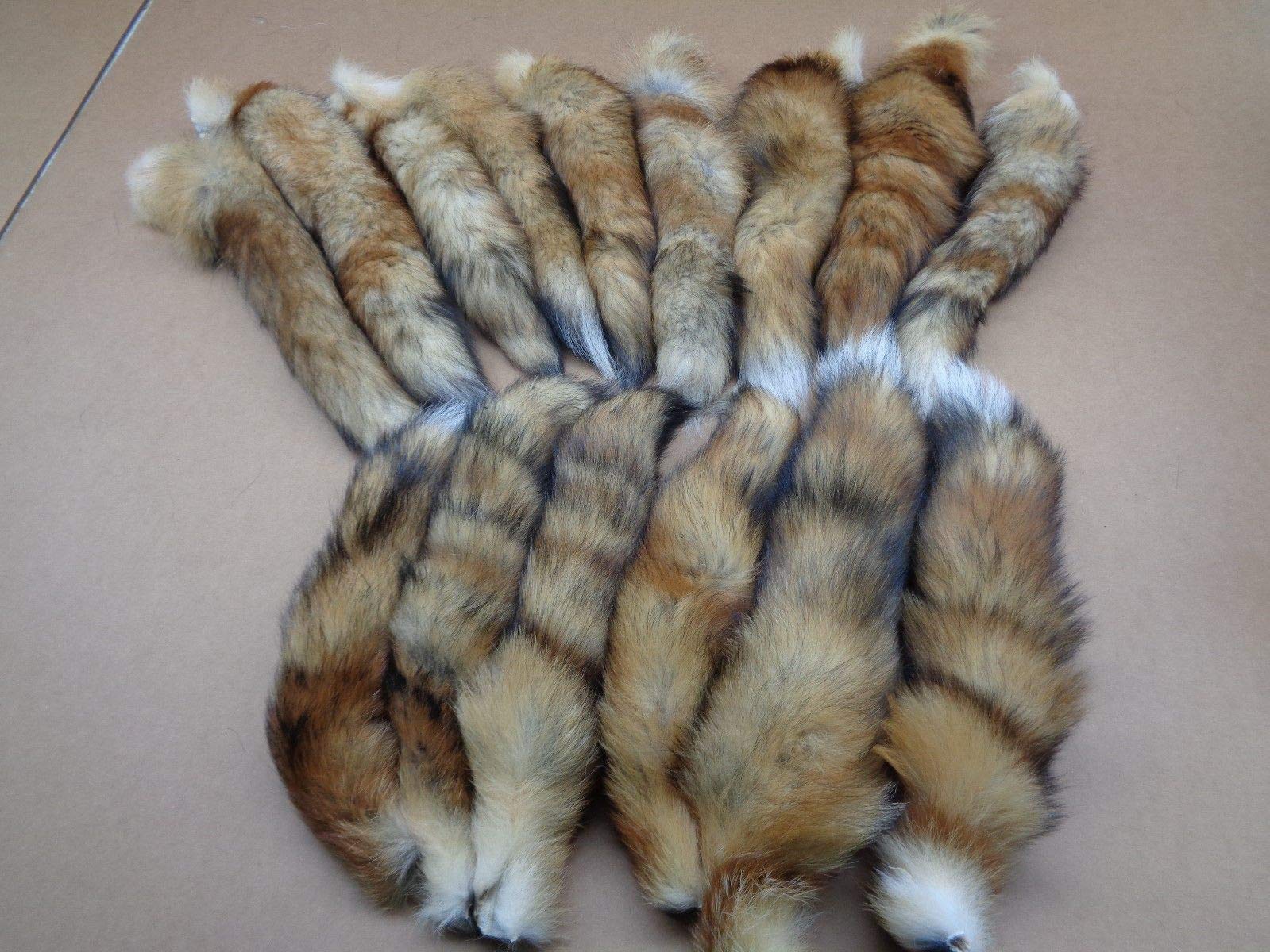 Red Fox Tail #1 Quality XL Tanned Fox Tail