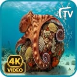 Une musique de piano apaisante