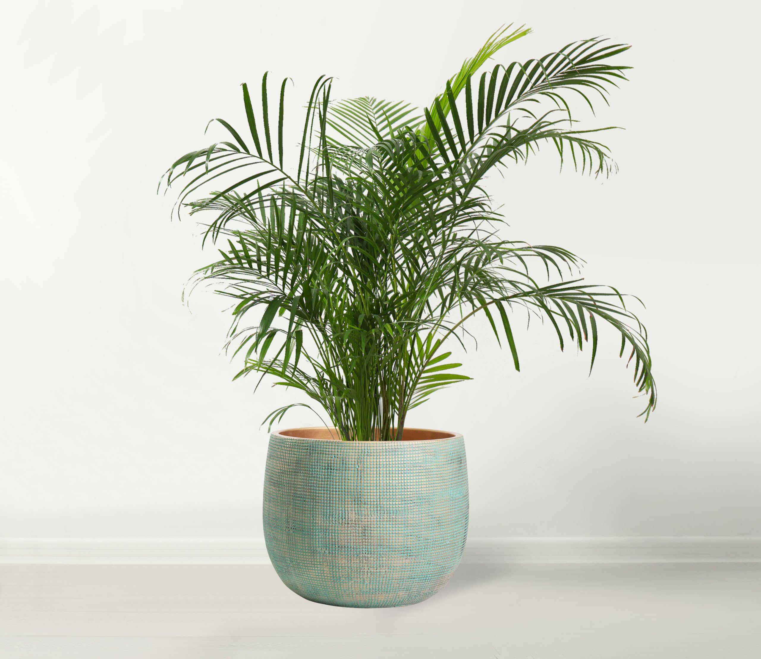 Olly & Rose Bali Pflanztopf aus Keramik, 25 cm